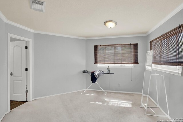 carpeted spare room with plenty of natural light and ornamental molding