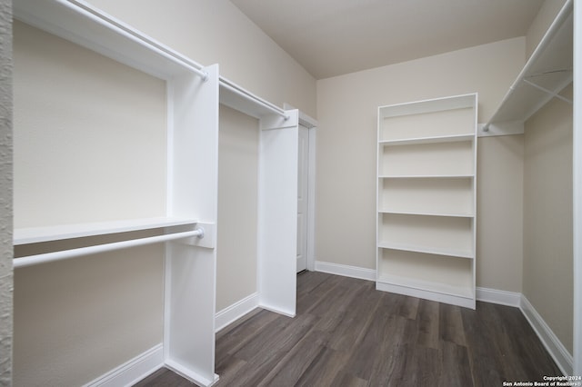 walk in closet featuring wood-type flooring