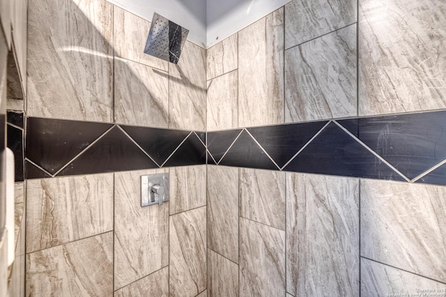 136 Cardinal Dr, Camp Wood, TX 78833 - interior details featuring tiled shower