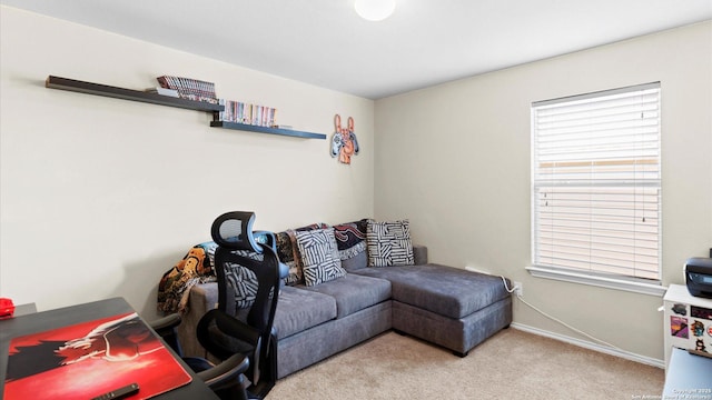 living area with carpet flooring and baseboards