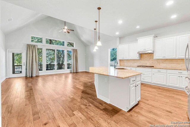 empty room featuring ceiling fan, hardwood / wood-style floors, and a raised ceiling