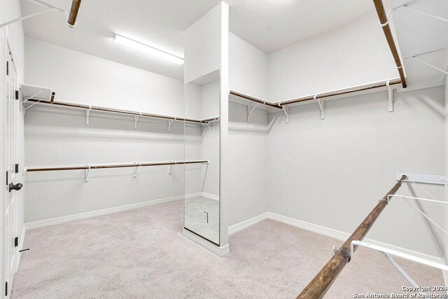 walk in closet with light colored carpet