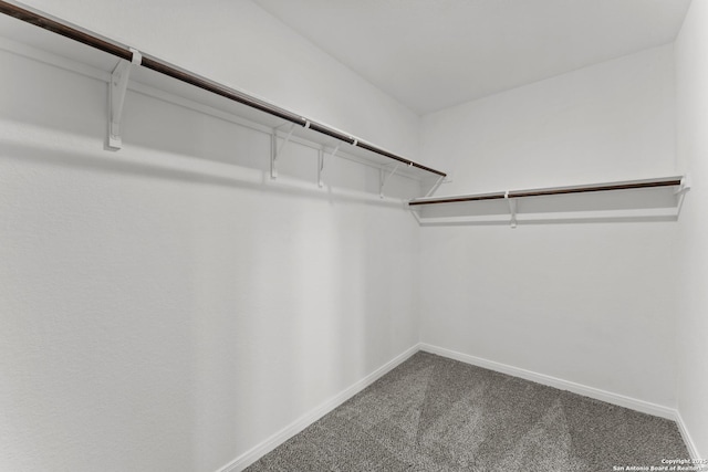 spacious closet with dark carpet