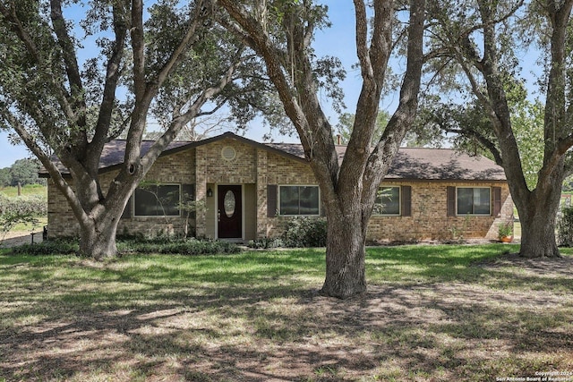 ranch-style house featuring a front yard and brick siding