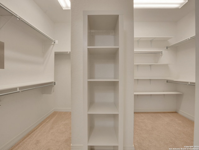 spacious closet with light carpet