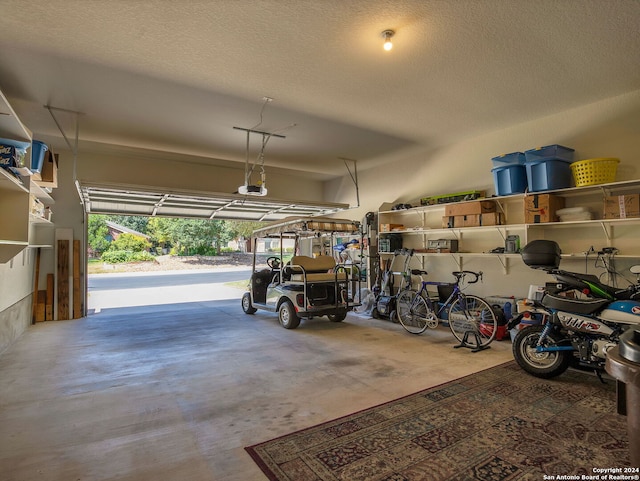 garage with a garage door opener