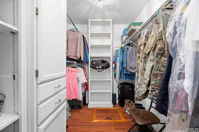 spacious closet featuring hardwood / wood-style flooring and radiator heating unit