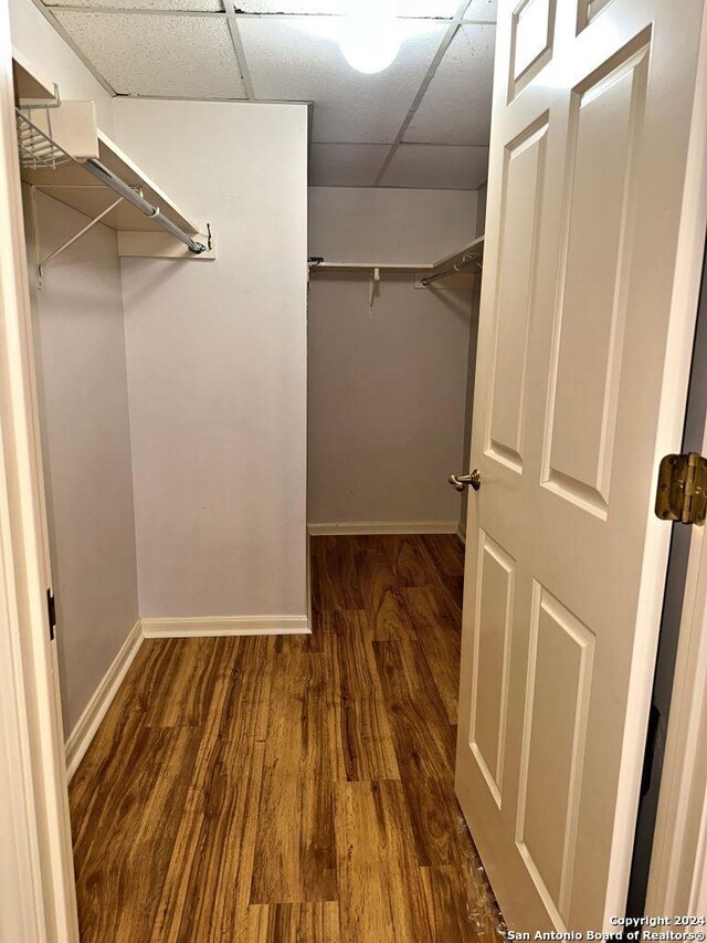 spacious closet with hardwood / wood-style flooring and a paneled ceiling