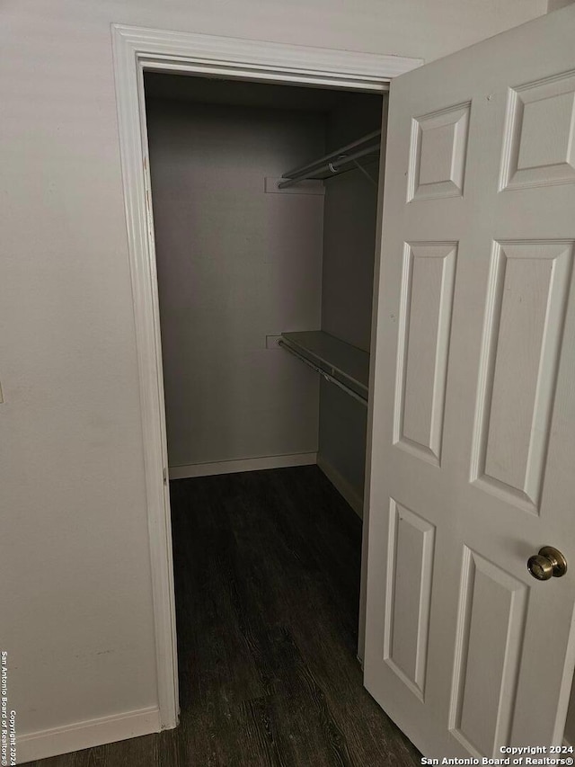 spacious closet featuring wood-type flooring