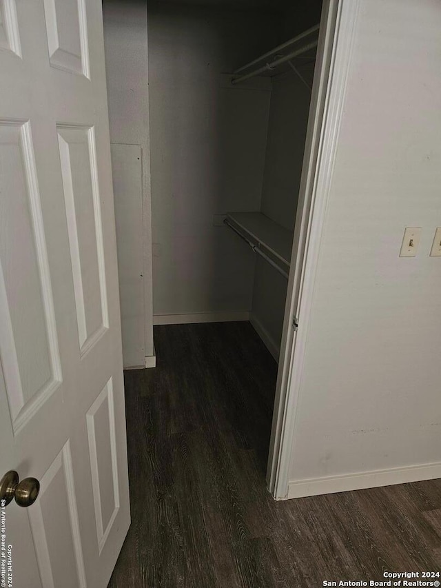 spacious closet featuring wood-type flooring