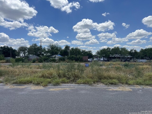 1021 E Pearson St, Freer TX, 78357 land for sale