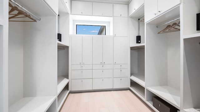 walk in closet with light hardwood / wood-style floors