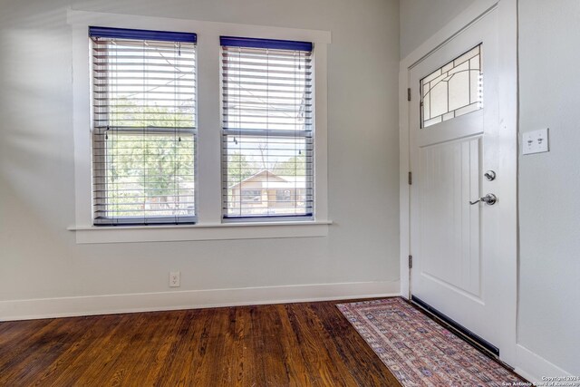 entryway with dark hardwood / wood-style flooring