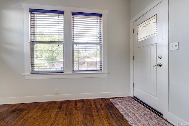 entrance foyer featuring baseboards, dark wood finished floors, and a wealth of natural light