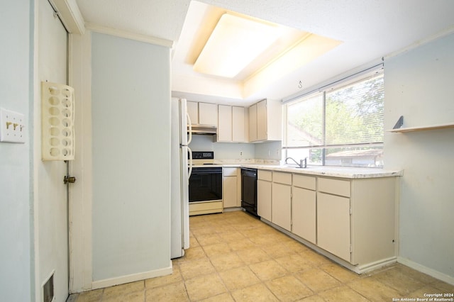 kitchen featuring a tray ceiling, range with electric stovetop, light countertops, a sink, and dishwasher