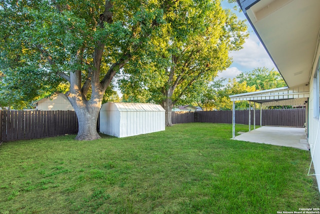 view of yard featuring a storage shed and a patio area