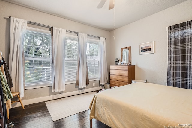 bedroom with ceiling fan, multiple windows, and dark hardwood / wood-style flooring