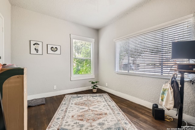 office space featuring dark hardwood / wood-style flooring