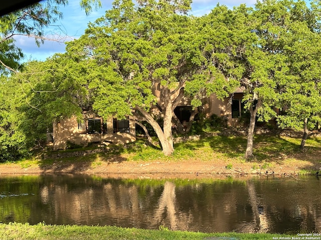 view of water feature