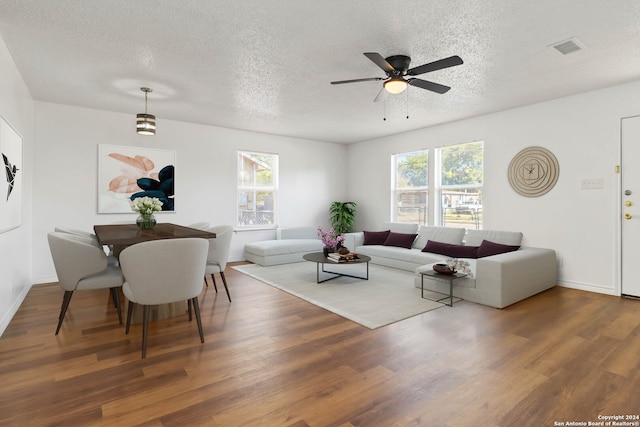 living room with a textured ceiling, plenty of natural light, and hardwood / wood-style flooring