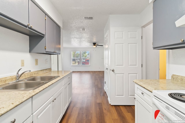 kitchen featuring ceiling fan, gray cabinets, dark hardwood / wood-style flooring, sink, and a textured ceiling