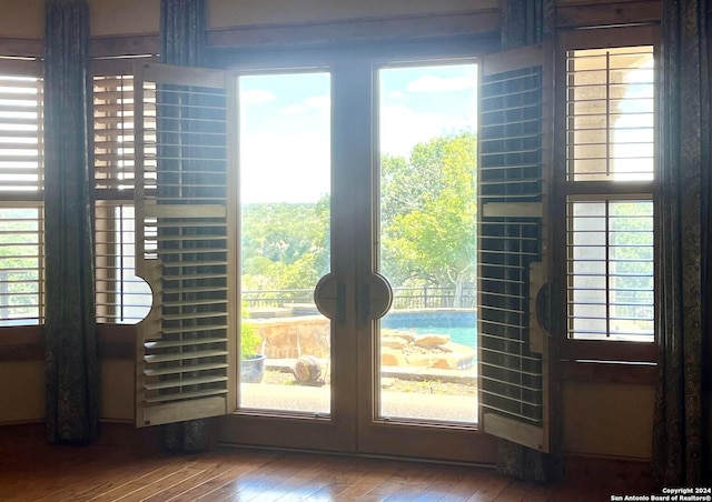 doorway featuring hardwood / wood-style floors and a healthy amount of sunlight