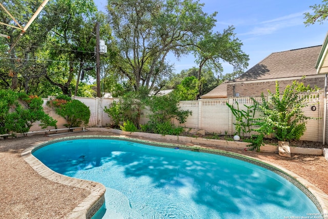 view of swimming pool featuring a fenced backyard and a fenced in pool