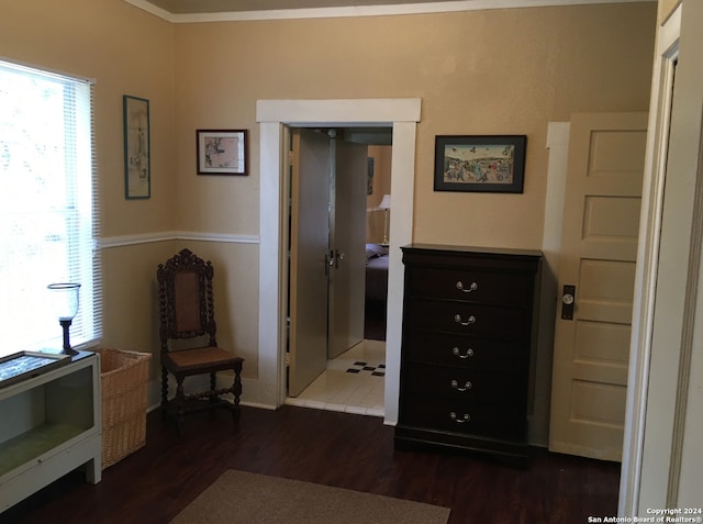 interior space featuring dark hardwood / wood-style flooring