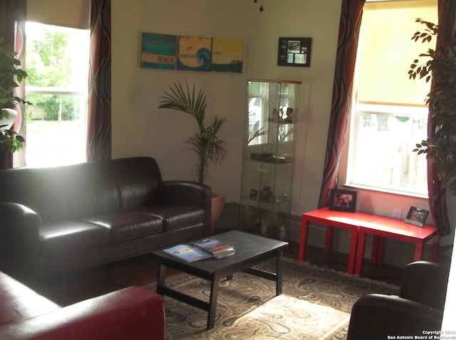 living room featuring hardwood / wood-style flooring