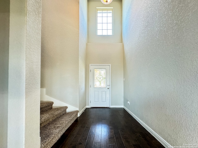 foyer featuring hardwood / wood-style floors and a healthy amount of sunlight