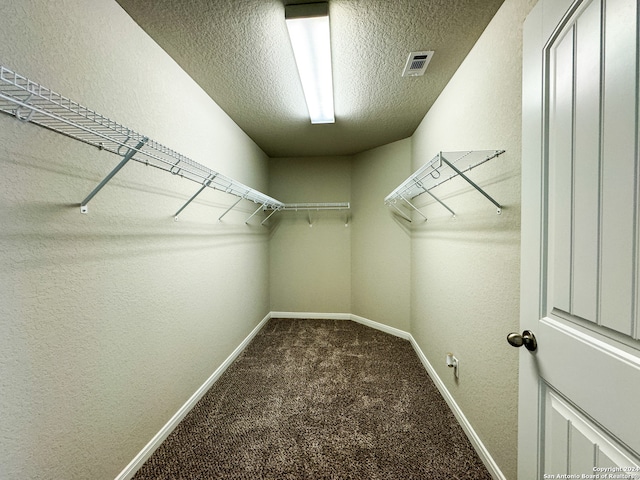 spacious closet with carpet