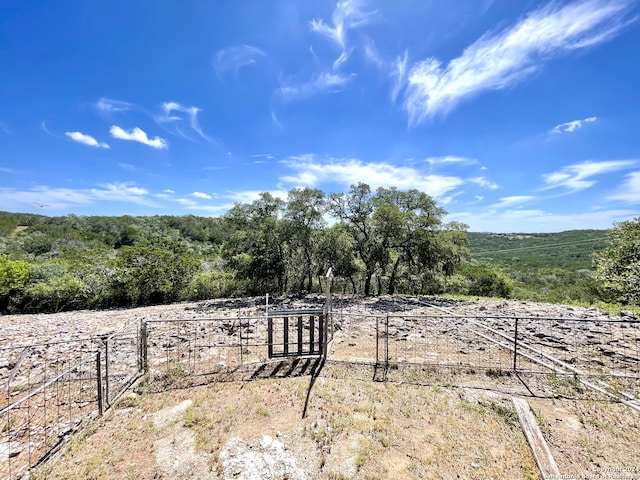 view of yard featuring a rural view