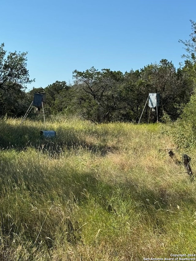 view of nature