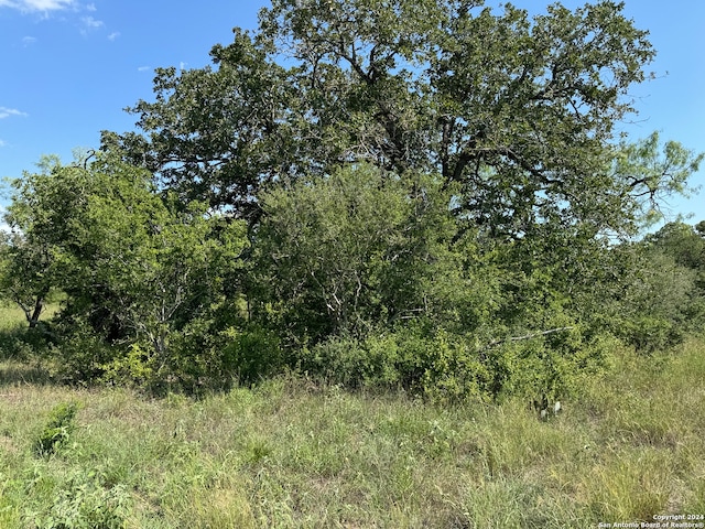 1527 County Road 266, Gillett TX, 78116 land for sale