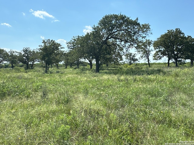 Listing photo 3 for 1527 County Road 266, Gillett TX 78116