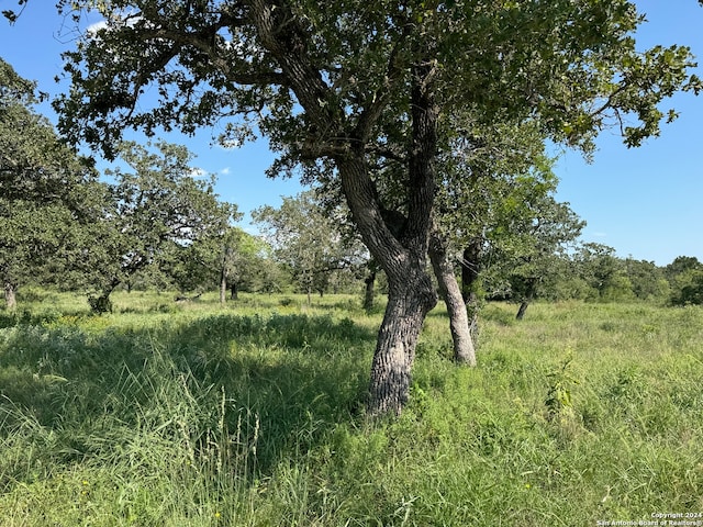 1527C County Road 266, Gillett TX, 78116 land for sale