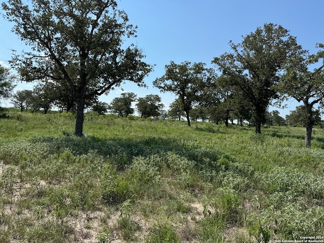 Listing photo 2 for 1527C County Road 266, Gillett TX 78116