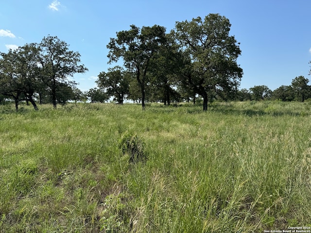 Listing photo 3 for 1527C County Road 266, Gillett TX 78116