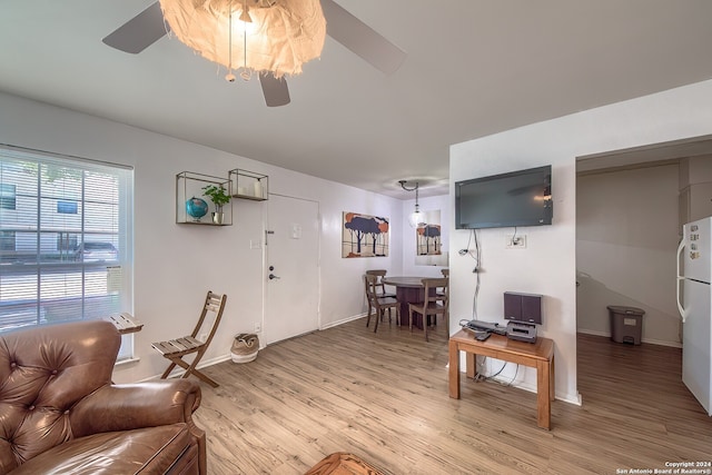 living room featuring ceiling fan and light hardwood / wood-style flooring