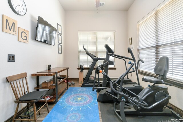 exercise area with hardwood / wood-style floors and a healthy amount of sunlight