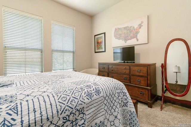 2204 Sierra Madre, Canyon Lake, TX 78133 - workout area with baseboards and visible vents