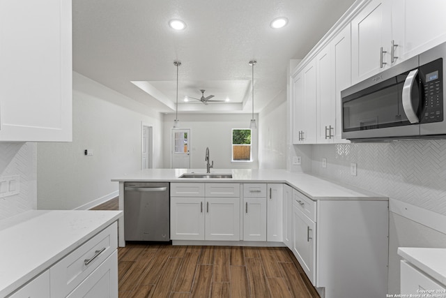 kitchen featuring ceiling fan, a raised ceiling, dark hardwood / wood-style flooring, sink, and stainless steel appliances