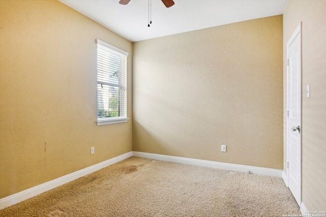 spare room featuring carpet and ceiling fan