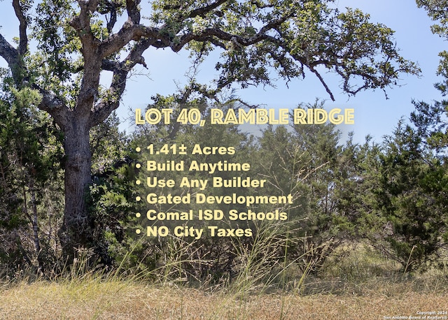 Listing photo 2 for 7726 Ramble Rdg, San Antonio TX 78266