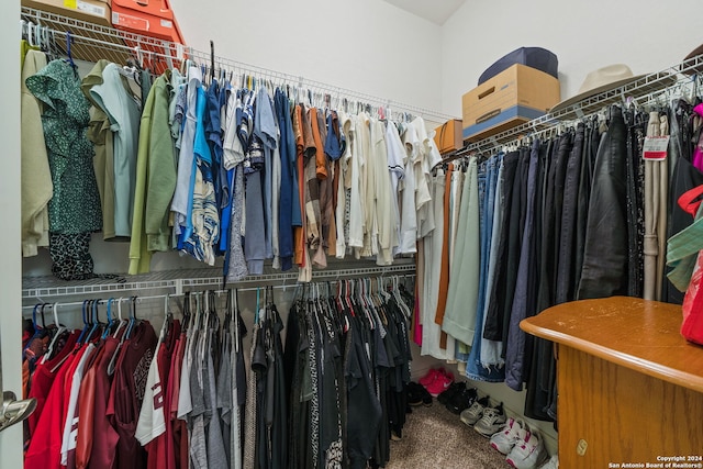 spacious closet featuring carpet flooring