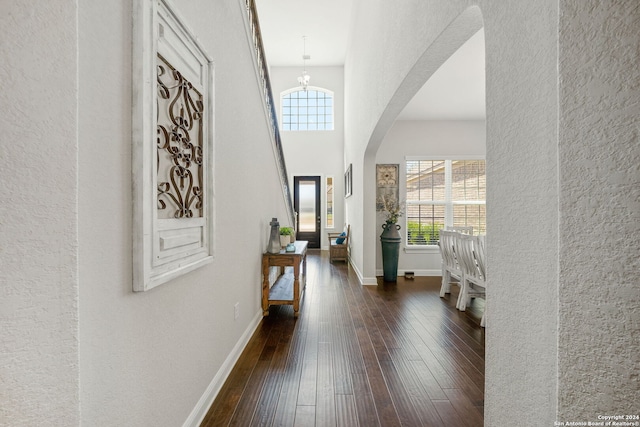 foyer entrance with dark hardwood / wood-style flooring and a towering ceiling