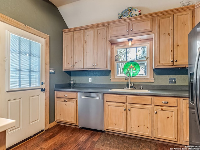 kitchen featuring appliances with stainless steel finishes, sink, dark hardwood / wood-style floors, and a healthy amount of sunlight