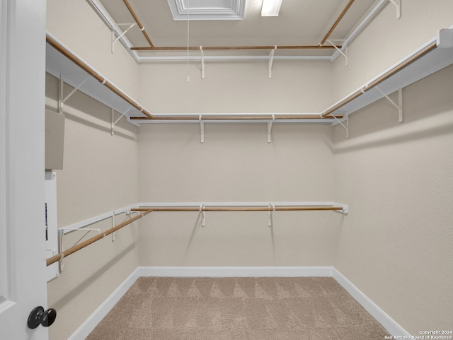 walk in closet with attic access and carpet flooring