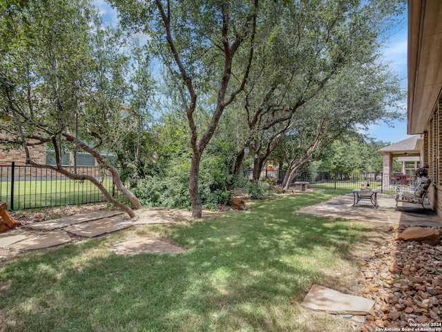 view of yard featuring a patio