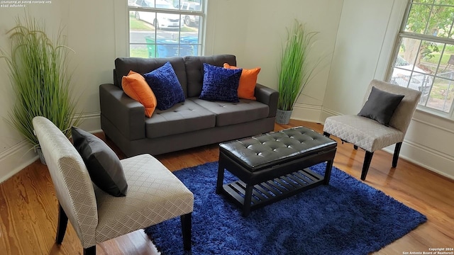 living room with hardwood / wood-style flooring